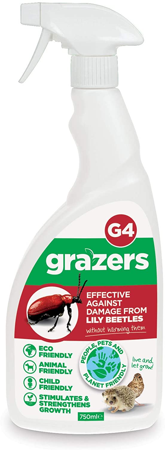 Garden Sprayers