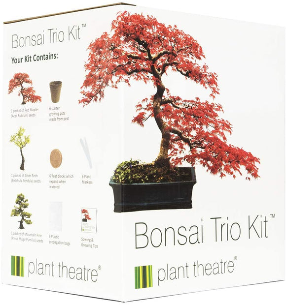 Bonsai